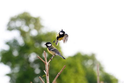 grosse natur titten|Die Porno